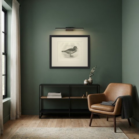 White-fronted Goose Standing in Shallow Water after Lilian Medland, c. 1909, shown framed in a room