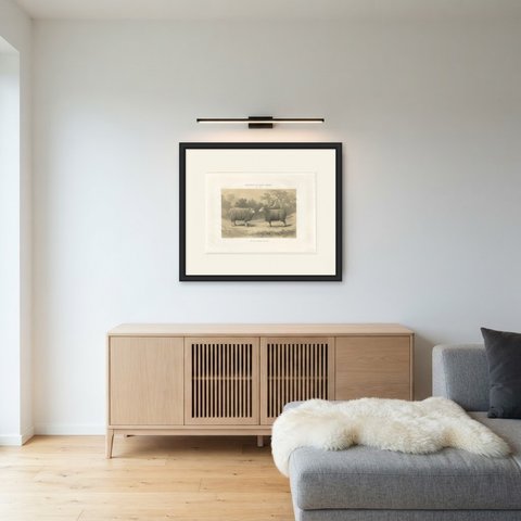 Dishley Ram and Ewe of Haut-Tingry, Antique French Sheep Print, 1873, shown framed in a room