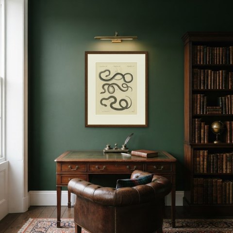 Three Slender Snakes, Antique Bertuch Print, Vienna, circa 1805, shown framed in a room