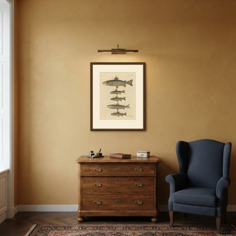 Five Trout with Salmon Trout and Alpine Char, Antique Bertuch Print, circa 1805, shown framed in a room