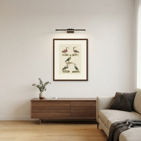 Scarlet Ibis and Other Ibises, Antique Bertuch Print, Vienna, circa 1812, shown framed in a room