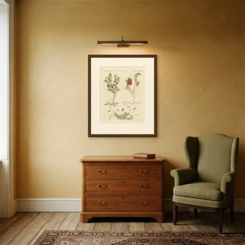 Bilberry, Lingonberry and Cranberry, Antique Bertuch Print, circa 1805, shown framed in a room