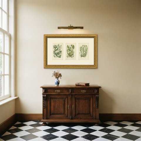 Pondweeds and Grass Wrack, Set of 3 Antique Botanical Plates, circa 1873, shown framed in a room