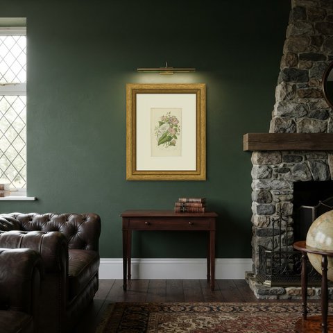 Bindweeds of Field and Shore, Antique Botanical Print, Pratt, circa 1873, shown framed in a room