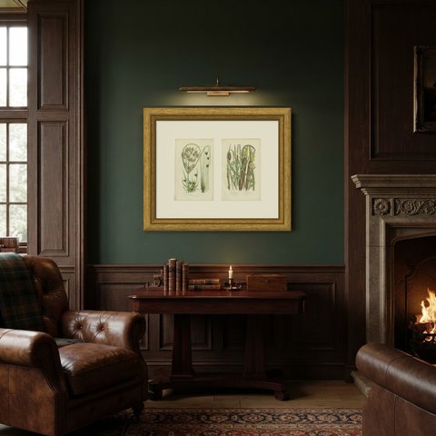 Cyperus and Great Reed Mace, Set of 2 Antique Botanical Plates, circa 1873, shown framed in a room