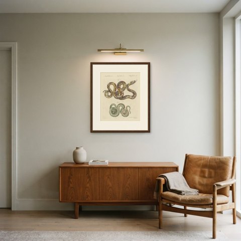 Two Patterned Snakes in Coils, Antique Bertuch Print, Vienna, circa 1805, shown framed in a room