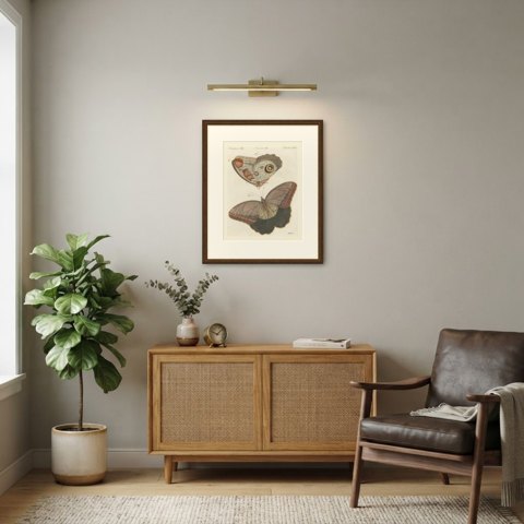 Owl Butterfly from Suriname, Antique Bertuch Print, Vienna, circa 1805, shown framed in a room