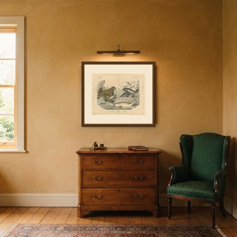 Antique Walrus and Narwhal Print, Arctic Sea Scene with Manatee, circa 1890, shown framed in a room
