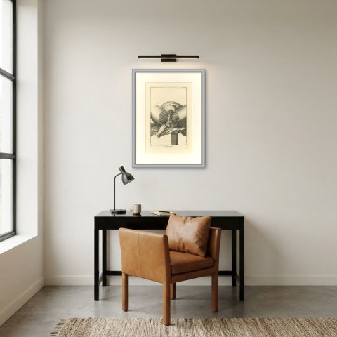 Dissection of the Male Perineum, Diderot Chirurgie Second Plate XIII, circa 1772, shown framed in a room