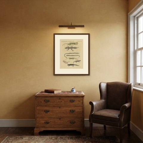 Lizards and Newts, Eight Species, Antique Bertuch Print, Vienna, circa 1805, shown framed in a room