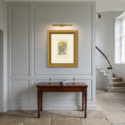 Yellow Water Iris and Saffron Crocus, Antique Botanical Plate, circa 1873, shown framed in a room