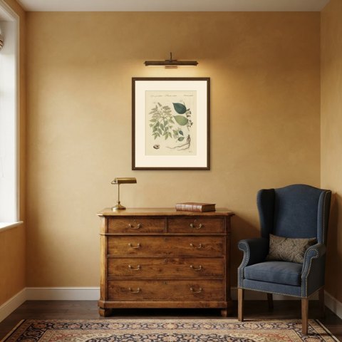 Manna Ash and Sarsaparilla Medicinal Plants, Antique Bertuch Print, circa 1805, shown framed in a room