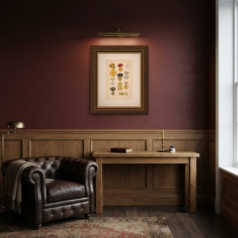 Orders of Austria, Campaign Crosses and Medals, Plate VI, Wood Engraving, 1844, shown framed in a room