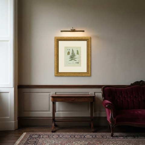 Decorative 19th Century Hand-Colored Fern Engraving, Beech Fern, 1806-1809, shown framed in a room