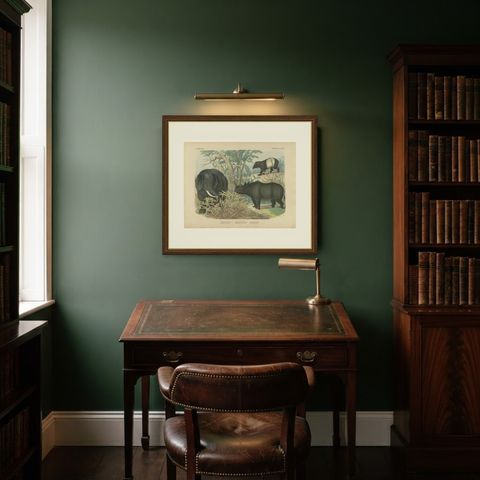 Antique Elephant and Rhinoceros Print with Tapir, Kolb Mammals, circa 1890, shown framed in a room
