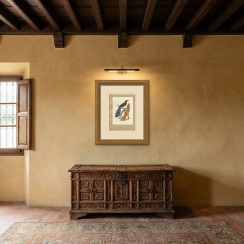 Long-Tailed Cuckoos, Brazilian Bird Print, Descourtilz, 1944, shown framed in a room