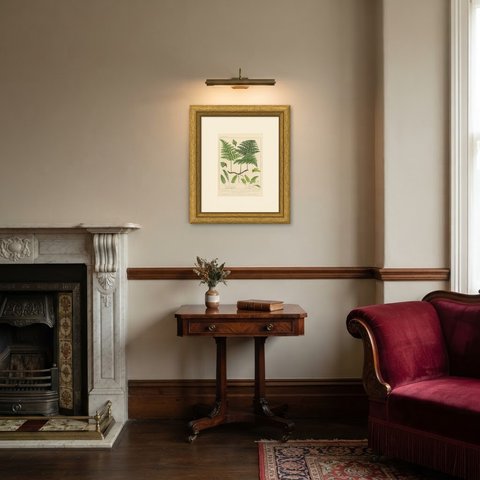 Antique Chromolithograph of the Killarney Fern and Filmy Ferns, circa 1885, shown framed in a room