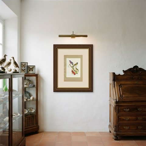 Tanagers and Cotingas, Brazilian Bird Print, Descourtilz, 1944, shown framed in a room