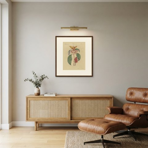 Flowering Shrub with Red Blossom, Antique Bertuch Print, circa 1815, shown framed in a room