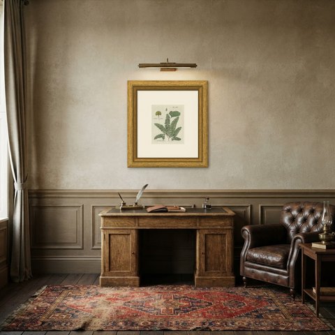 Original Antique Hand-Colored Fern Engraving, Northern Maidenhair, 1806-1809, shown framed in a room