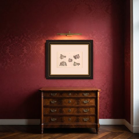 Nerves of the Nose, Palate and Upper Jaw, Antique Hirschfeld Anatomy Print, 1866, shown framed in a room