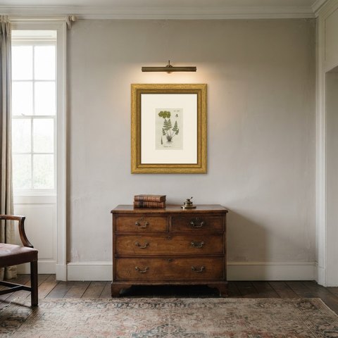 Decorative 19th Century Hand-Colored Fern Print, Cheilanthes odora, 1806-1809, shown framed in a room