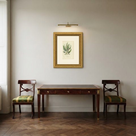 Alpine and Red Veined Dock, Antique Botanical Print by Anne Pratt, circa 1873, shown framed in a room