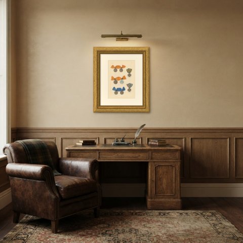 Dutch Medals, War in Java and Citadel of Antwerp, Plate LIV, 1844, shown framed in a room