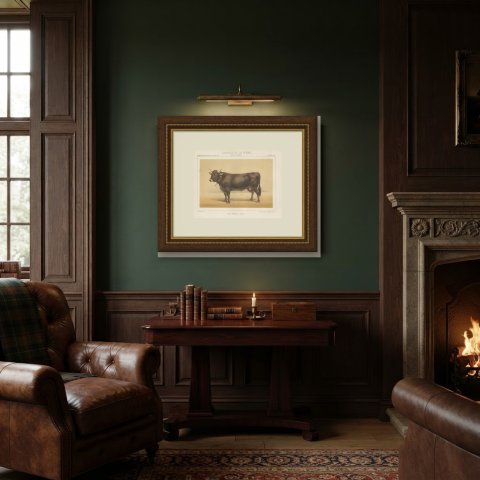 Schwyz Cow with Bell, Swiss Brown Cattle Chromolithograph, 1863, shown framed in a room