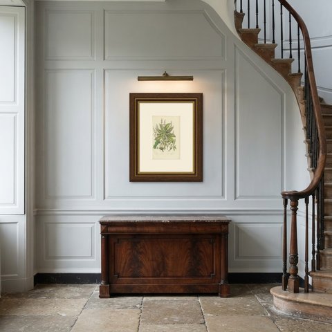 Common Sorrel and Spurge Laurel, Antique Wild Plant Print, Pratt, circa 1873, shown framed in a room