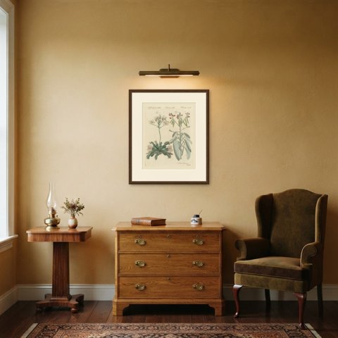 Venus Flytrap Carnivorous Plant, Antique Bertuch Print, circa 1805, shown framed in a room