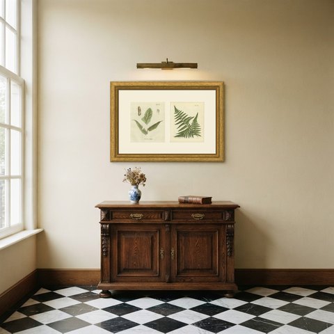 Set of 2 Antique Hand-Colored Fern Engravings, Asplenium ambiguum, 1806-1809, shown framed in a room