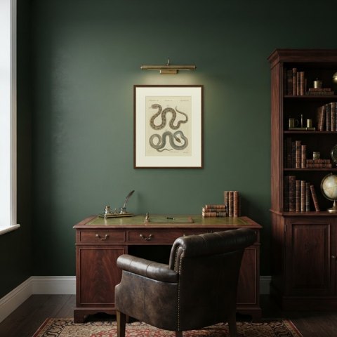 Two Snakes with Bold Head Markings, Antique Bertuch Print, Vienna, circa 1805, shown framed in a room