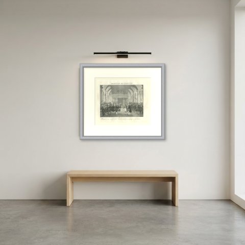 Bonaparte Received by the Institut de France, Antique Madou Lithograph, 1827, shown framed in a room