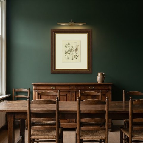 Decorative 19th Century Hand-Colored Fern Engraving, Wall Rue, 1806-1809, shown framed in a room