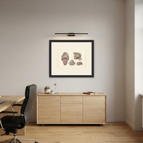 The Mouth, Tongue and Salivary Glands, Antique Hirschfeld Anatomy Print, 1866, shown framed in a room