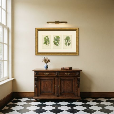 Oak, Beech and Yew, Set of 3 Antique Botanical Plates, circa 1873, shown framed in a room