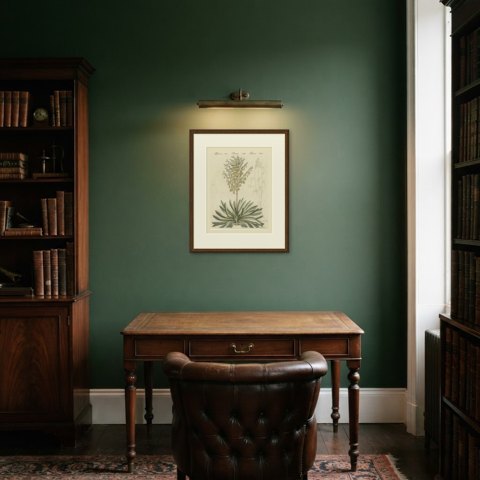 Yucca Adam's Needle in Full Flower, Antique Bertuch Print, circa 1812, shown framed in a room