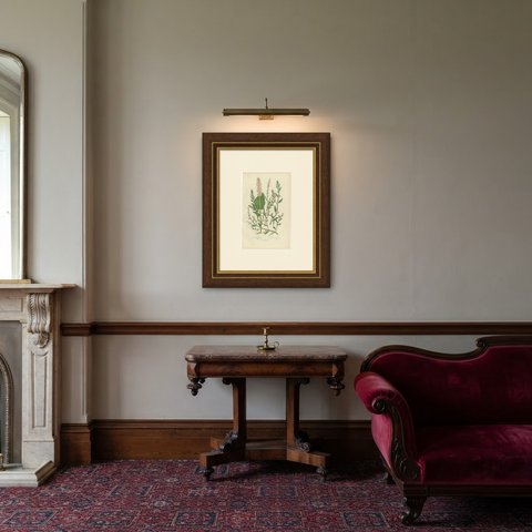 Alpine Bistort and Knot Grass, Antique Mountain Flora Print, circa 1873, shown framed in a room