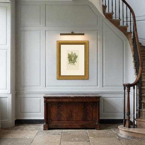 Fiddle Dock and Golden Dock, Antique Victorian Botanical Plate, circa 1873, shown framed in a room
