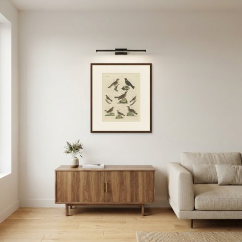 Crested Lark and Other Larks, Antique Bertuch Print, Vienna, circa 1805, shown framed in a room