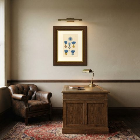Sardinia, Civil Merit and Military Valor Medals, Plate LXXII, 1844, shown framed in a room
