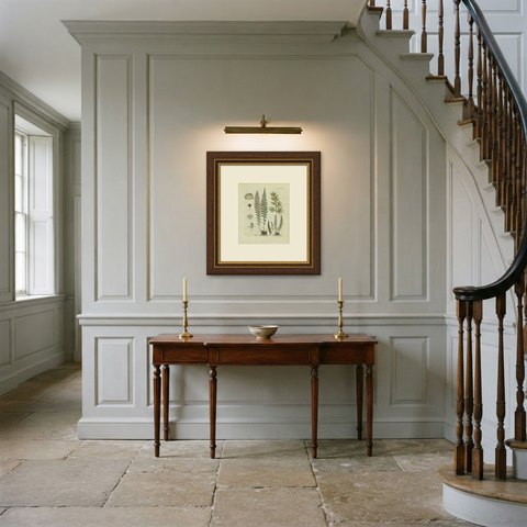 Decorative 19th Century Hand-Colored Fern Print, Aspidium fontanum, 1806-1809, shown framed in a room