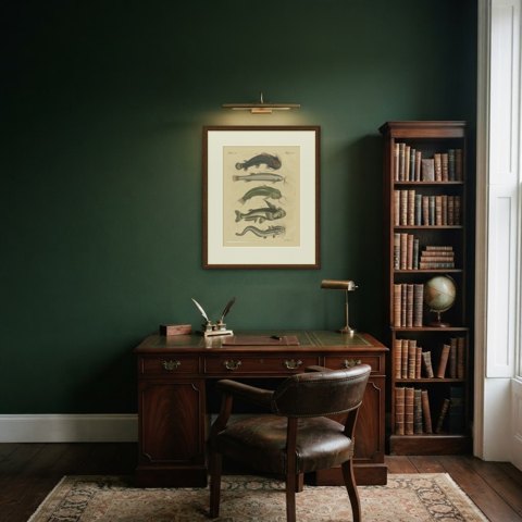 Five Catfish with Long Barbels, Antique Bertuch Print, circa 1815, shown framed in a room