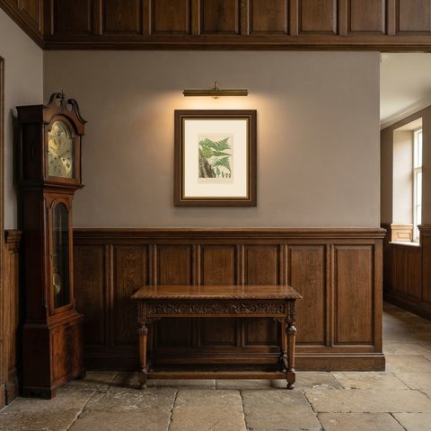 Decorative Antique Chromolithograph of the Hare's Foot Fern, circa 1885, shown framed in a room
