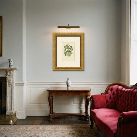 The British Gromwells, Antique Natural History Plate by Anne Pratt, circa 1873, shown framed in a room