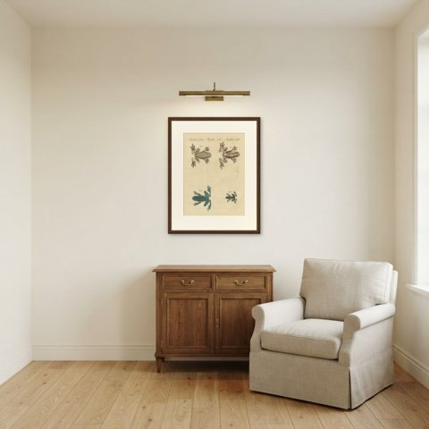 Four Colorful Tree Frogs, Antique Bertuch Print, Vienna, circa 1815, shown framed in a room