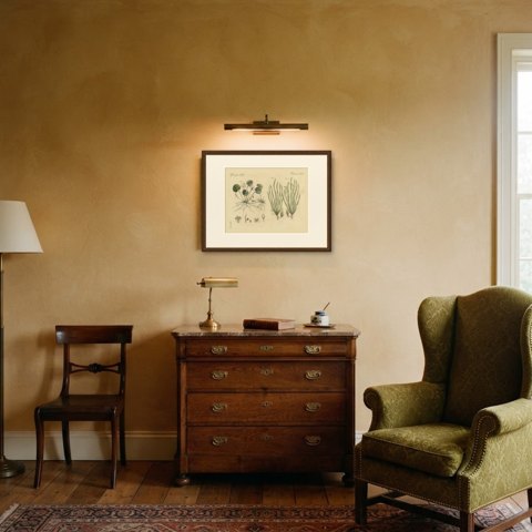 Frogbit and Spiral Tape Grass Water Plants, Antique Bertuch Print, circa 1818, shown framed in a room
