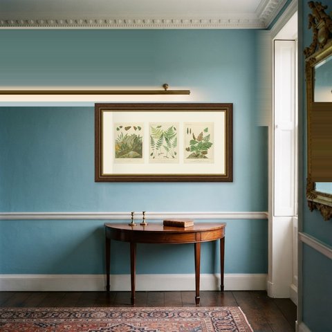 Set of 3 Antique Chromolithographs of Alpine and Rock Ferns, circa 1885, shown framed in a room