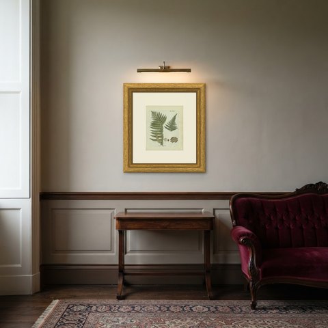 Original Antique Hand-Colored Fern Engraving, Aspidium molle, 1806-1809, shown framed in a room